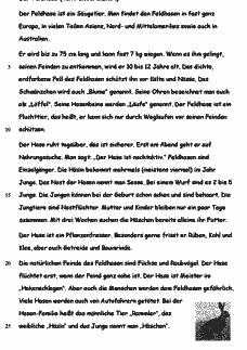 Vorschau Seite 2