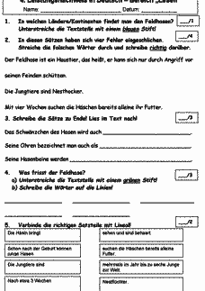 Vorschau Seite 3