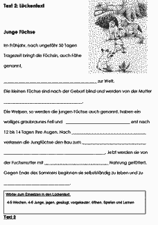 Vorschau Seite 5