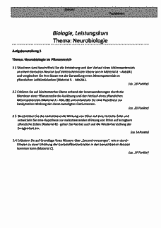 Vorschau Seite 1