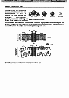 Vorschau Seite 3