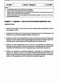 Vorschau Seite 1