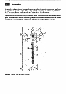 Vorschau Seite 2