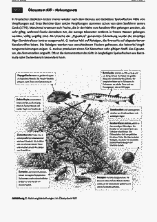 Vorschau Seite 3