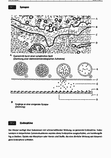 Vorschau Seite 6