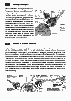 Vorschau Seite 7