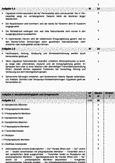 Vorschau Seite 2