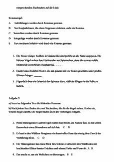 Vorschau Seite 6