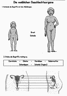 Vorschau Seite 2
