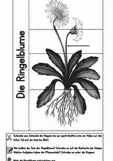 Vorschau Seite 1