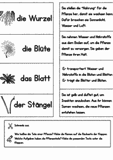 Vorschau Seite 2