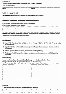 Vorschau Seite 4