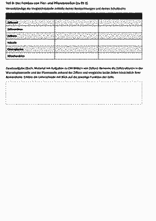 Vorschau Seite 6
