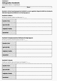 Vorschau Seite 7