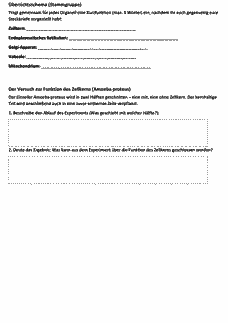 Vorschau Seite 9