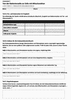 Vorschau Seite 10