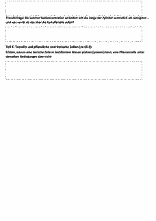 Vorschau Seite 13