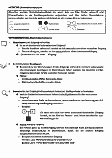 Vorschau Seite 1