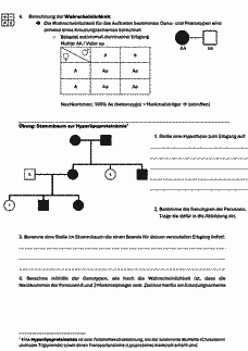 Vorschau Seite 2