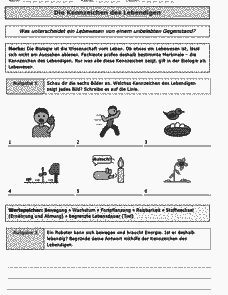 Vorschau Seite 1