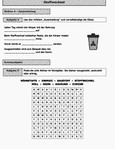 Vorschau Seite 6
