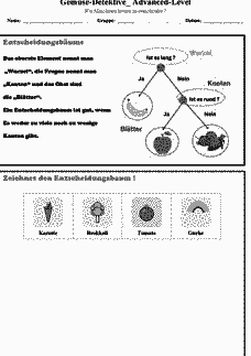 Vorschau Seite 1