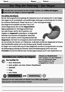 Vorschau Seite 1