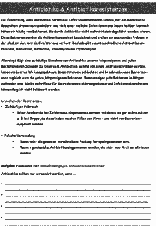 Vorschau Seite 1
