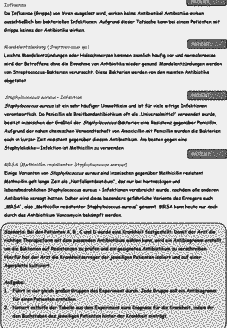 Vorschau Seite 2