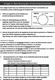 Vorschau Seite 3