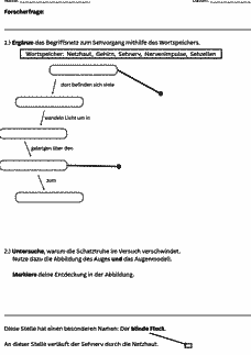 Vorschau Seite 1