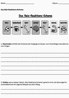 Vorschau Seite 1