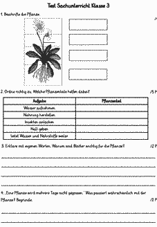Vorschau Seite 1