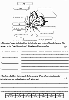 Vorschau Seite 2