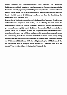 Vorschau Seite 13