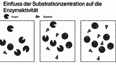 Vorschau Seite 30