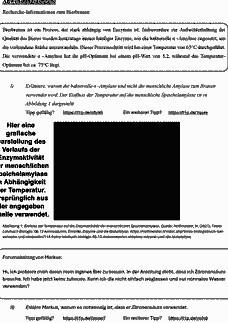Vorschau Seite 37