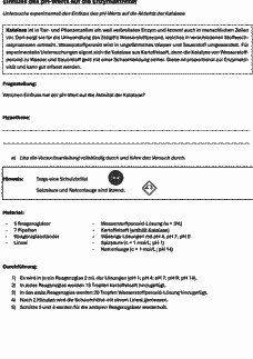 Vorschau Seite 43