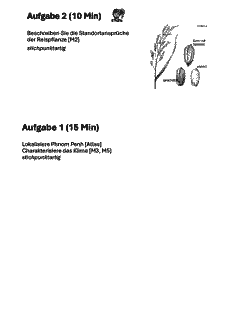 Vorschau Seite 12