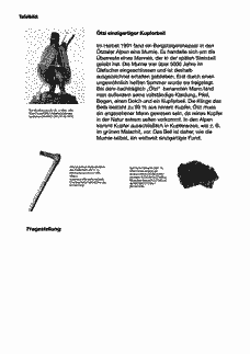 Vorschau Seite 8