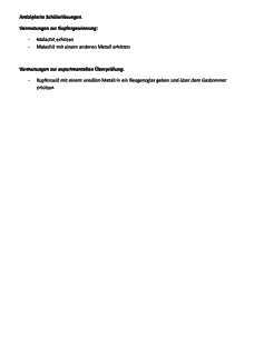 Vorschau Seite 13