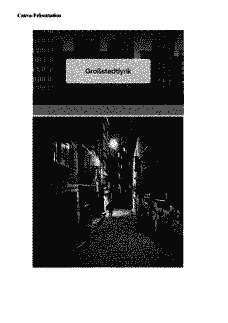 Vorschau Seite 13