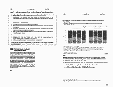 Vorschau Seite 12