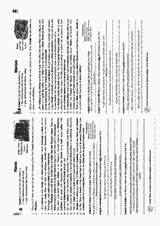 Vorschau Seite 7