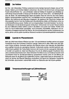 Vorschau Seite 2