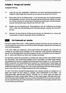 Vorschau Seite 4