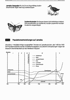 Vorschau Seite 6