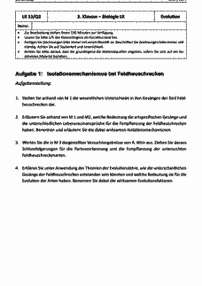 Vorschau Seite 1