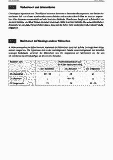 Vorschau Seite 3