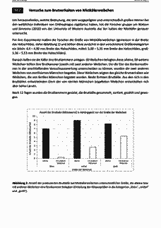 Vorschau Seite 6